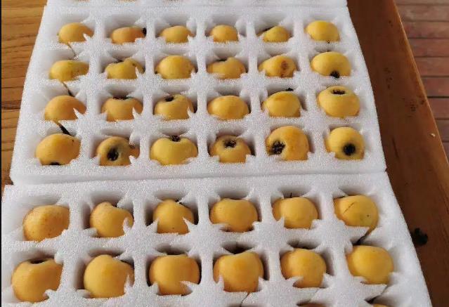 珍珠棉水果內托